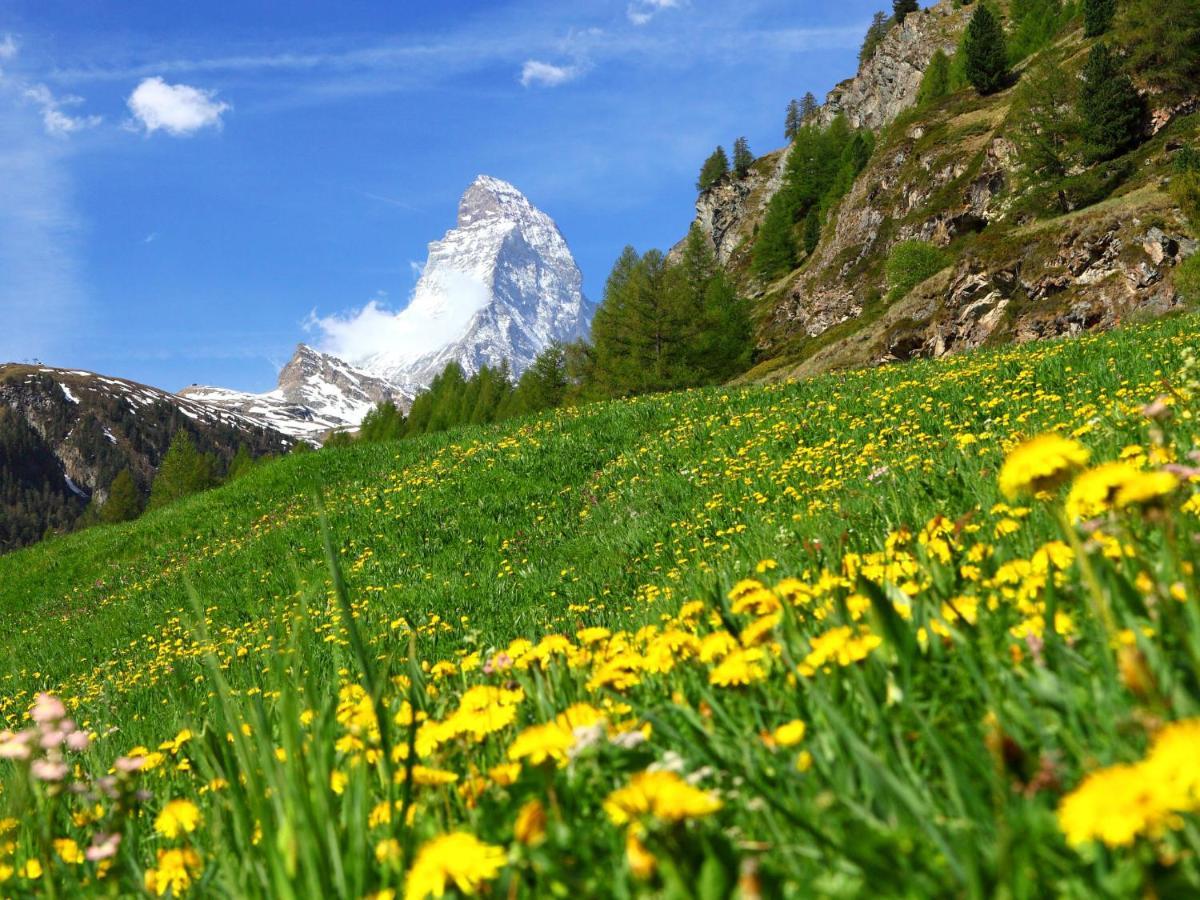 Apartment Lauberhaus By Interhome Zermatt Buitenkant foto