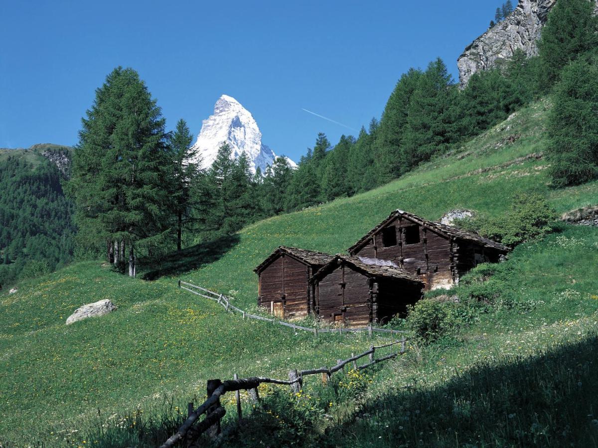 Apartment Lauberhaus By Interhome Zermatt Buitenkant foto
